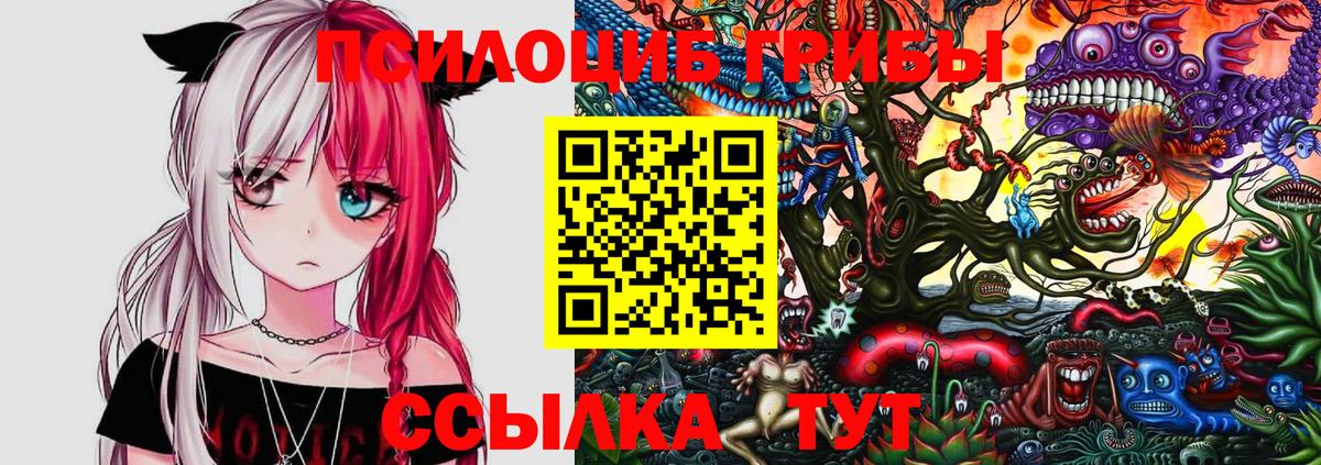 Псилоцибиновые грибы Magic Shrooms Красноярск