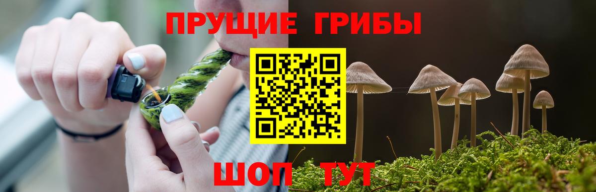 Псилоцибиновые грибы MAGIC MUSHROOMS  Вход с VPN  Красноярск 